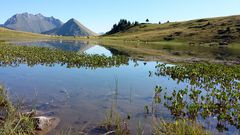 Sur les hauteurs de Morzine, l'été