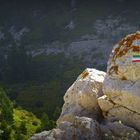 Sur les hauteurs des calanques