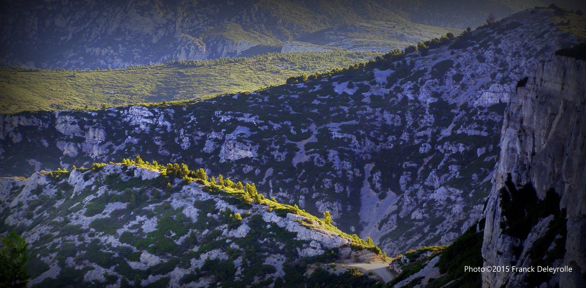 Sur les hauteurs du Parc National des Calanques