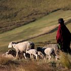 Sur les hauts plateaux équatoriens 5