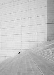 Sur les marches de la grande Arche