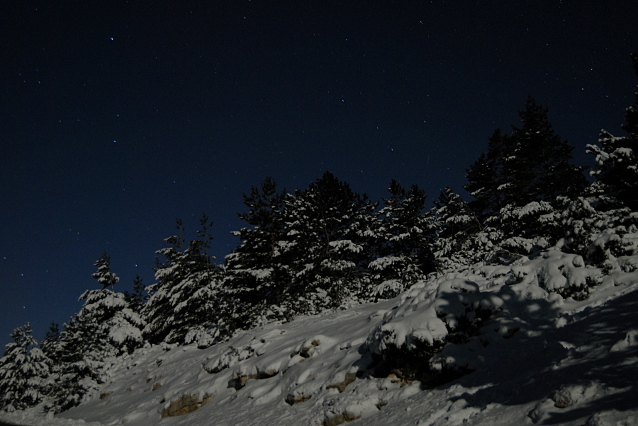 Sur les pentes du Ventoux