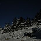 Sur les pentes du Ventoux