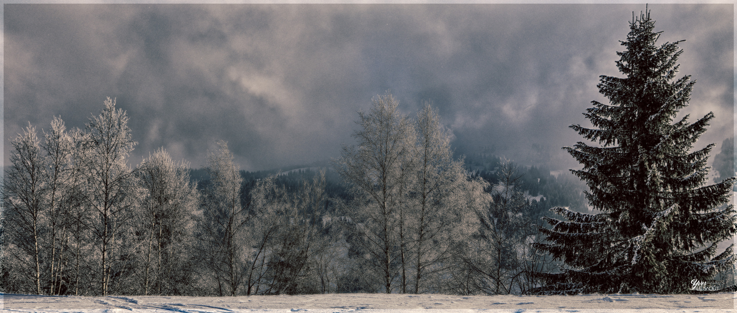 Sur les pistes