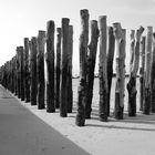 sur les plages de saint malo