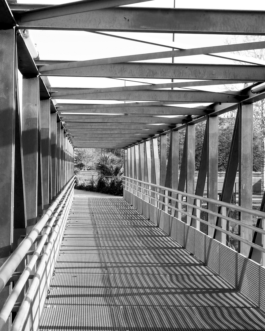 Sur les quais de Nantes 