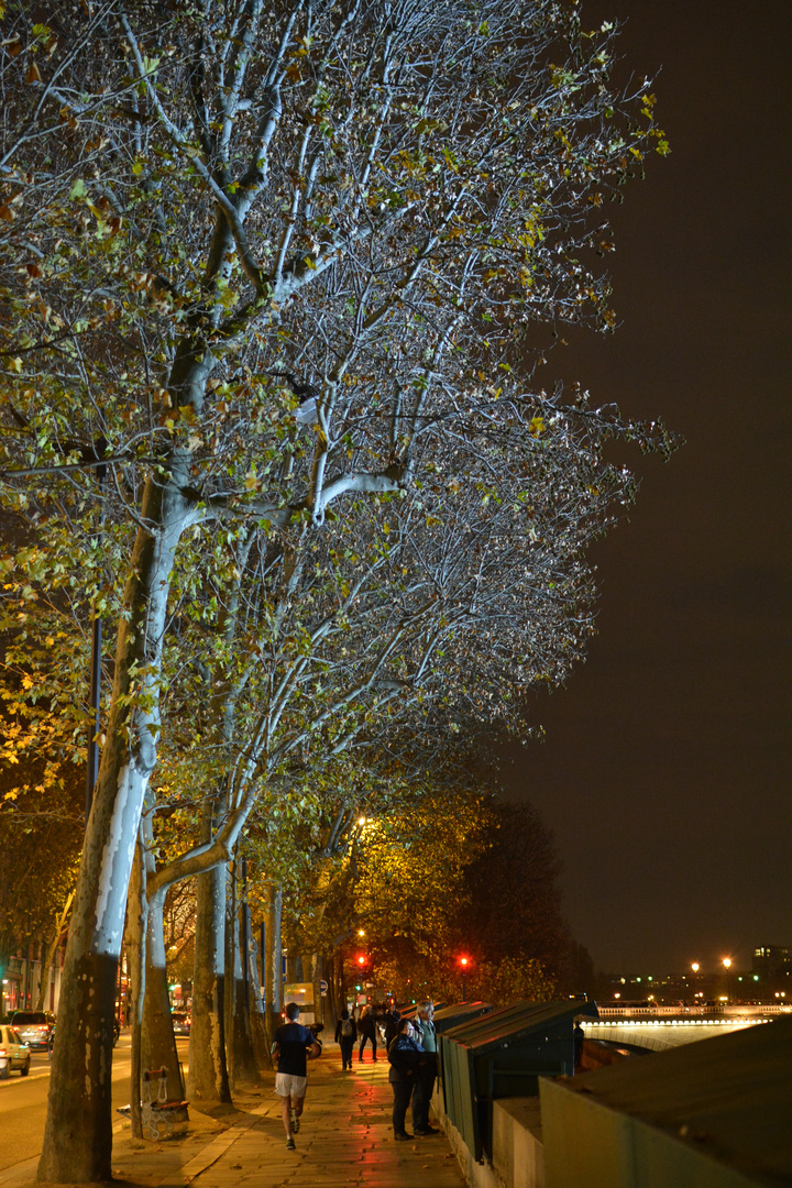 Sur les quais de Paris