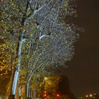 Sur les quais de Paris