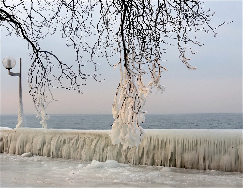 sur les quais d'Evian , cet après-midi