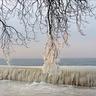 sur les quais d'Evian , cet après-midi