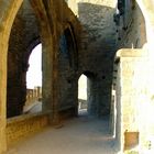 Sur les remparts de Carcassonne