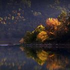 Sur les rives du lac de Carcès (2)