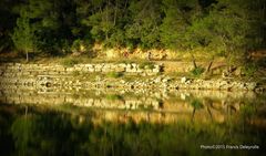 Sur les rives du lac de Carcès (3)