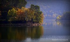 Sur les rives du lac de Carcès