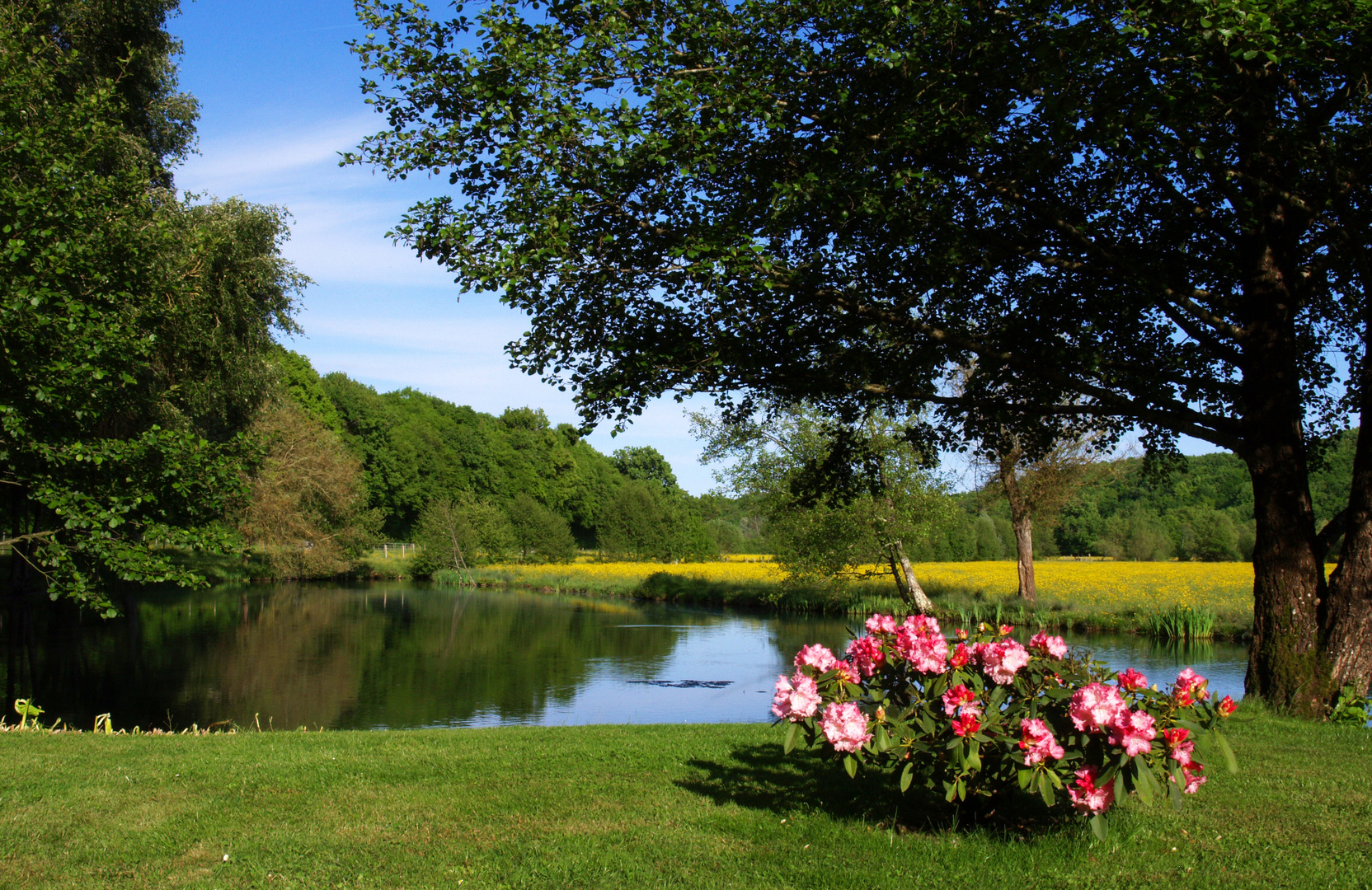 Sur les rives d’un petit affluent de la Charente et son étang