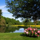 Sur les rives d’un petit affluent de la Charente et son étang