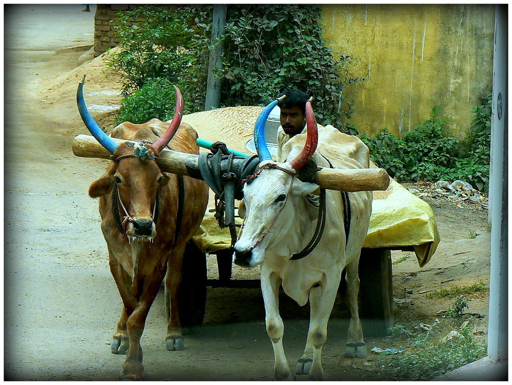 SUR LES ROUTES DE L'INDE