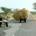 Sur les routes du Rajasthan .