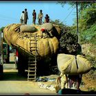 Sur les  routes en en Inde 