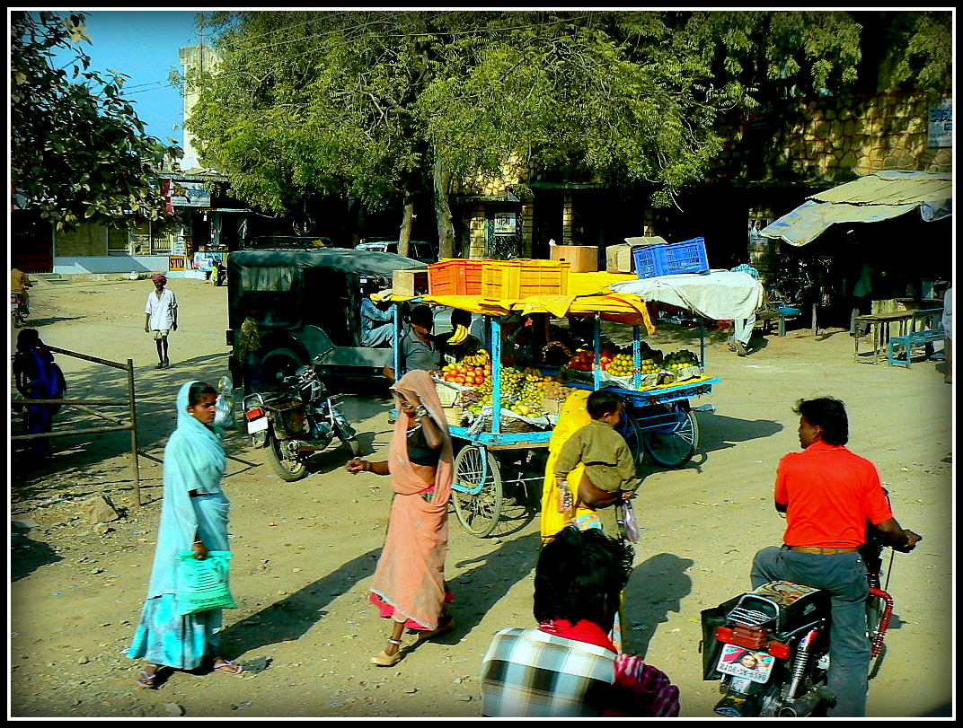 Sur les routes en Inde 