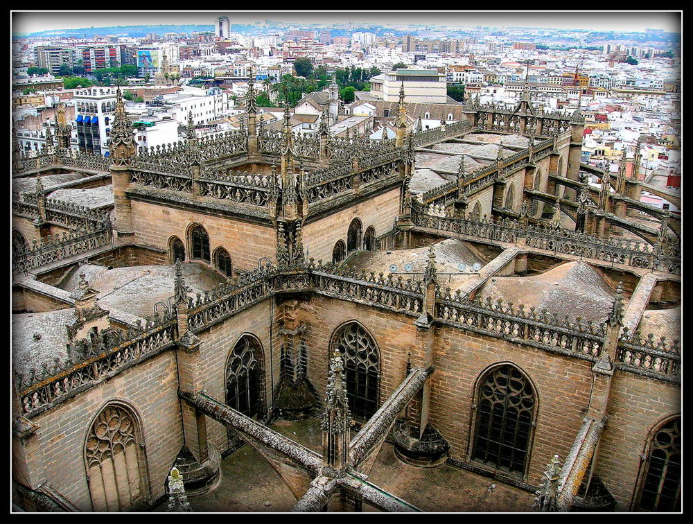 SUR LES TOITS DE LA CATHEDRALE