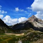 Sur les traces des géants