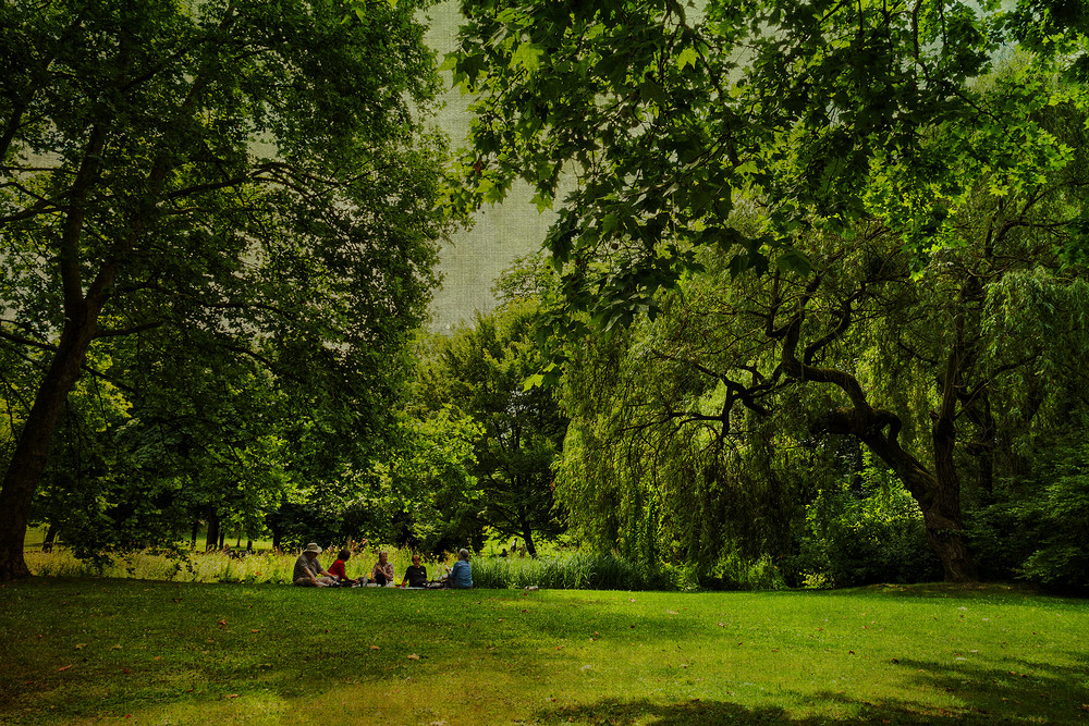 Sur l'herbe