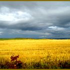 Sur l'île d'Orléans à Québec