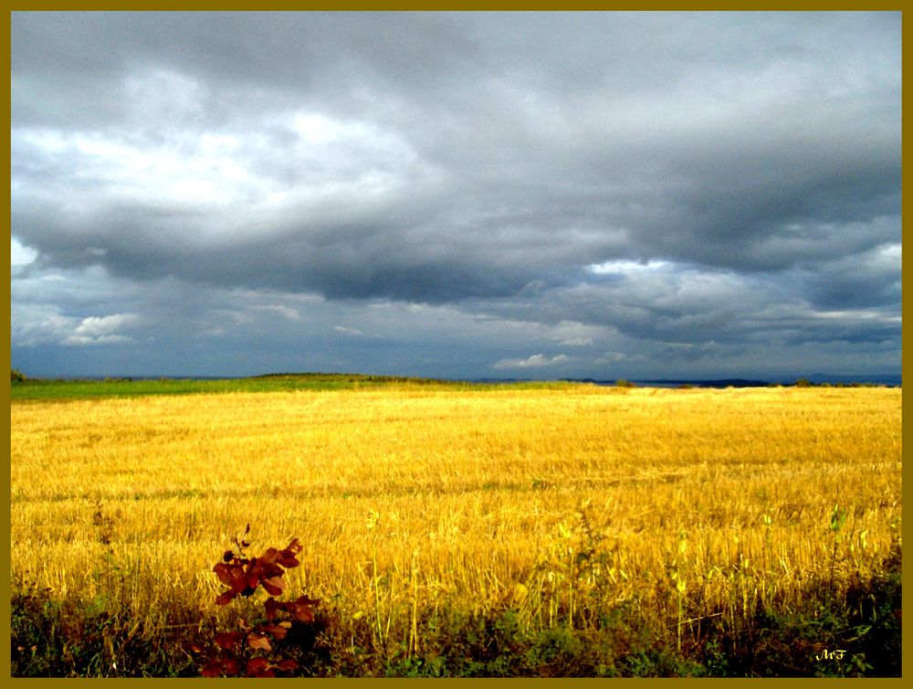 Sur l'île d'Orléans à Québec