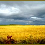 Sur l'île d'Orléans à Québec