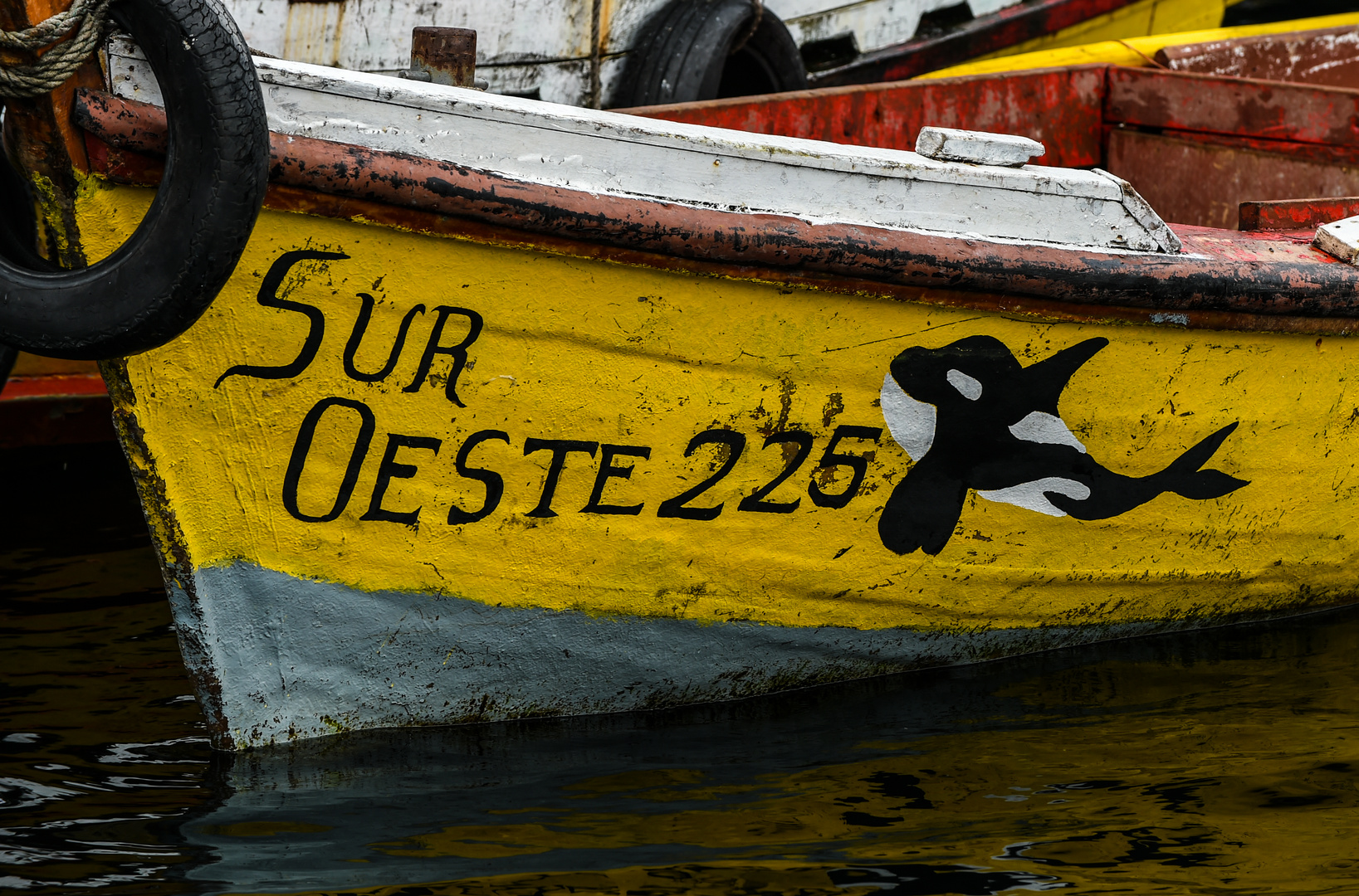 Sur Oeste 226                  DSC_5992-2