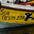 Sur Oeste 226                  DSC_5992-2