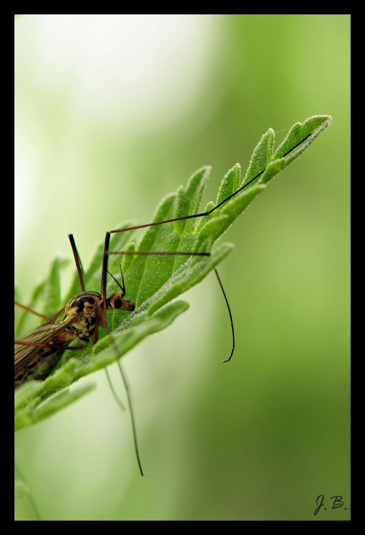 Sur son transat naturel!!!!