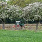 sur un air de printemps 