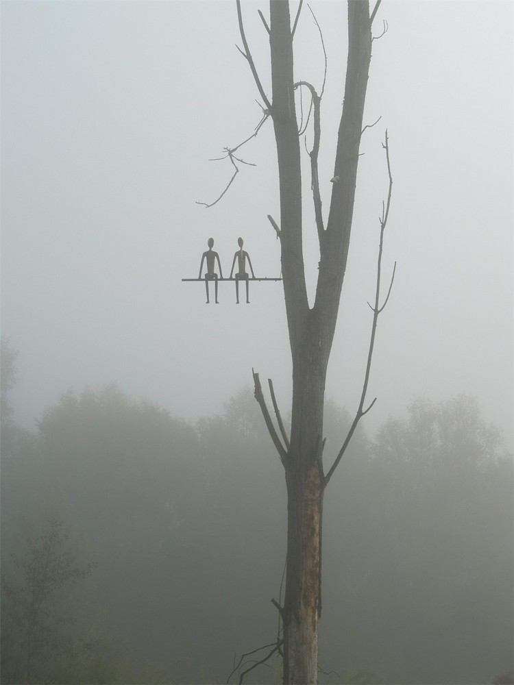 Sur un arbre perchés