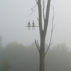 Sur un arbre perchés