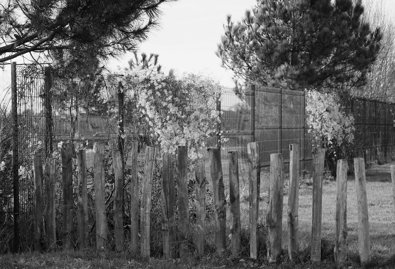 sur un chemin côtier