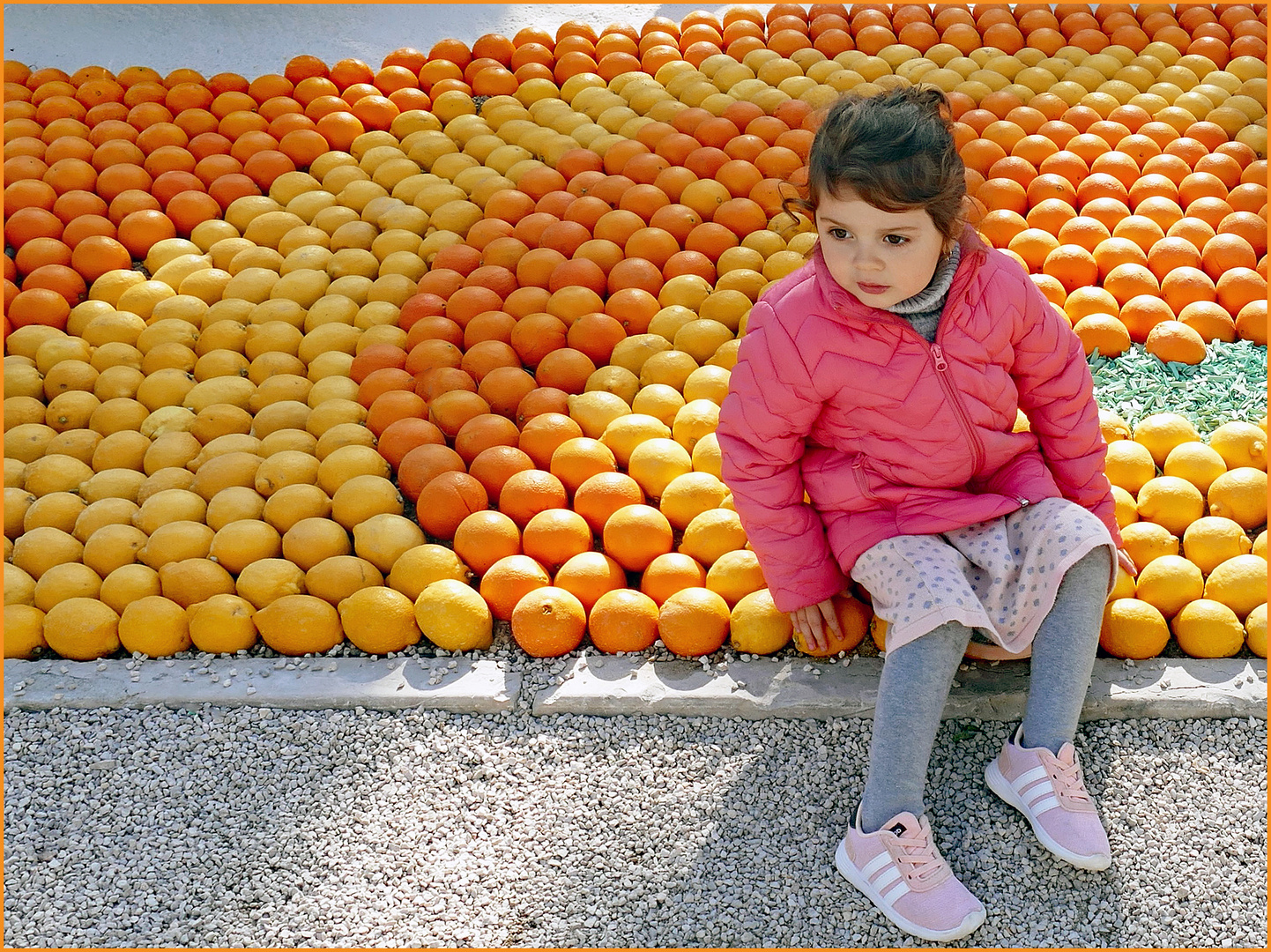 sur un coussin d Oranges .....et citrons