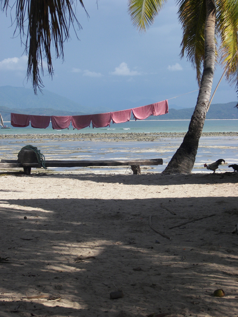 Sur un îlot de madagascar