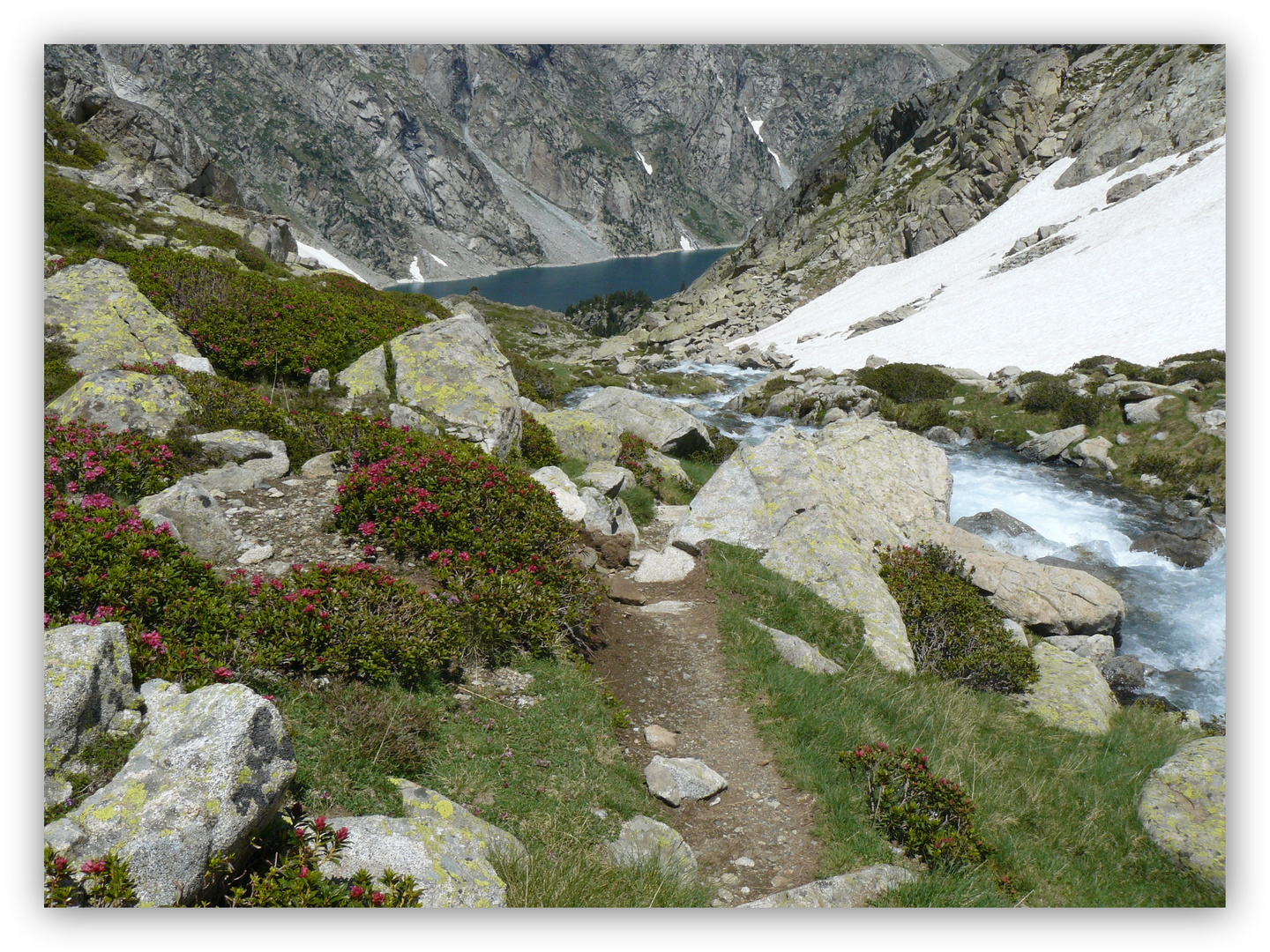 Sur un sentier des Pyrénées ...