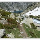 Sur un sentier des Pyrénées ...