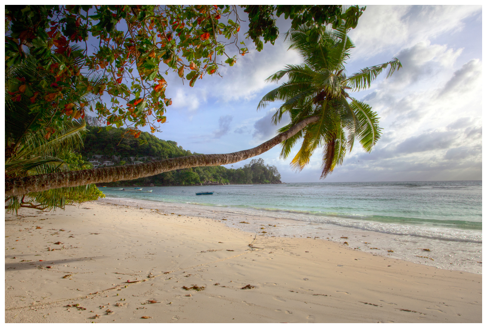 Sur une plage abandonnée ...