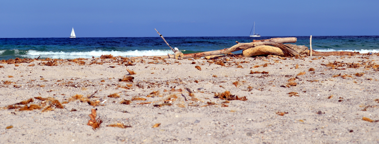 sur une plage abandonnée . . .