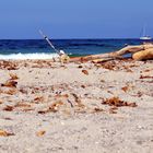 sur une plage abandonnée . . .