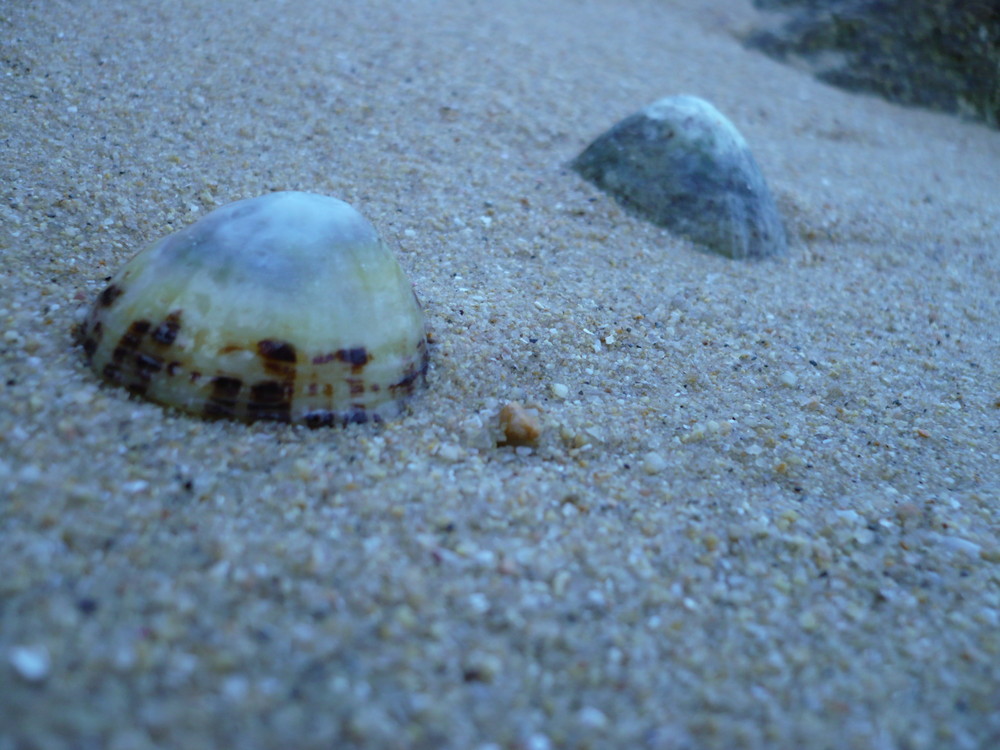 sur une plage bretonne