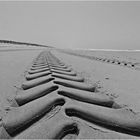 Sur une plage des Landes