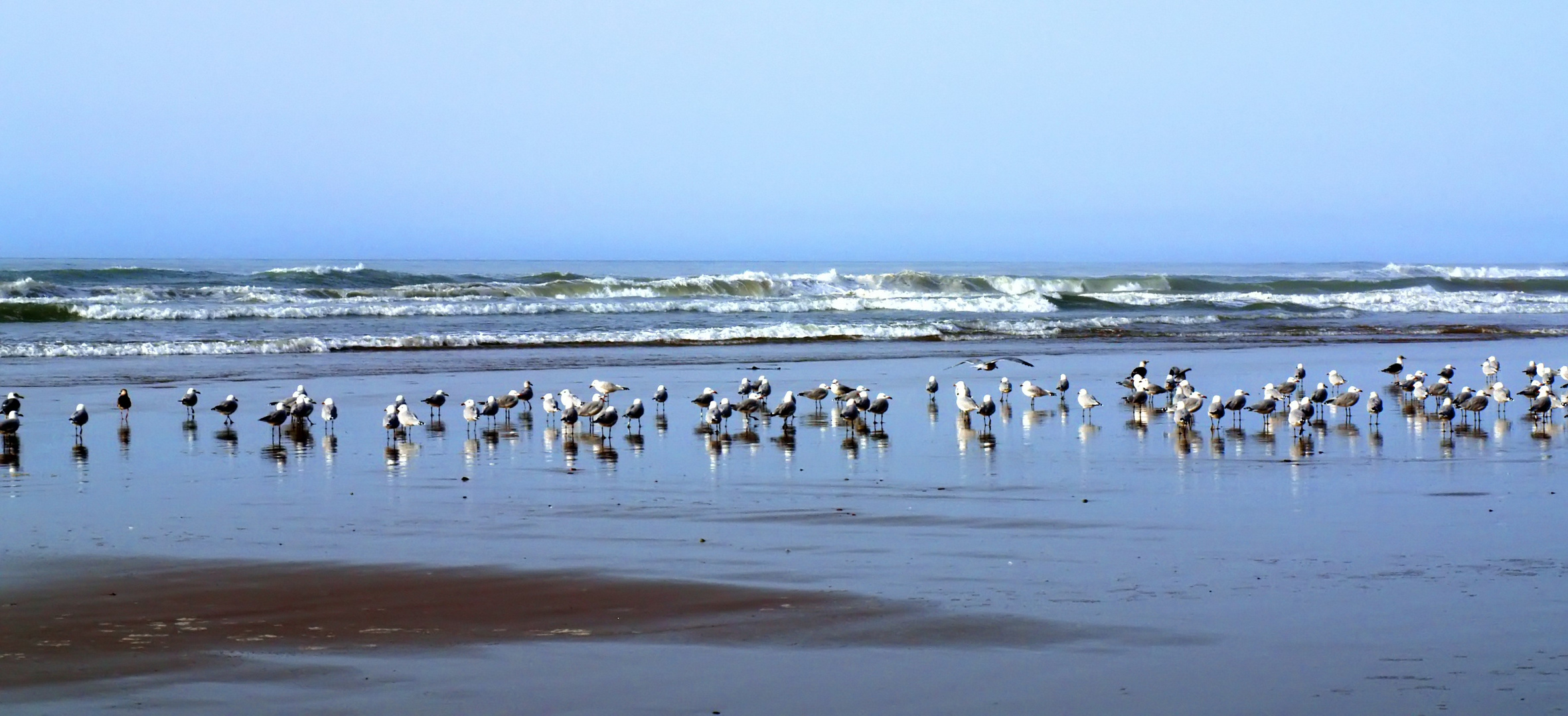 ) Sur une plage près de Sidi Ifni - Agora - An einem Strand in der Nähe von Sidi Ifni