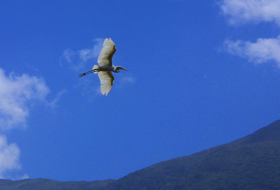 Surcando el cielo de Caracas