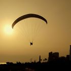 Surcando el cielo dorado