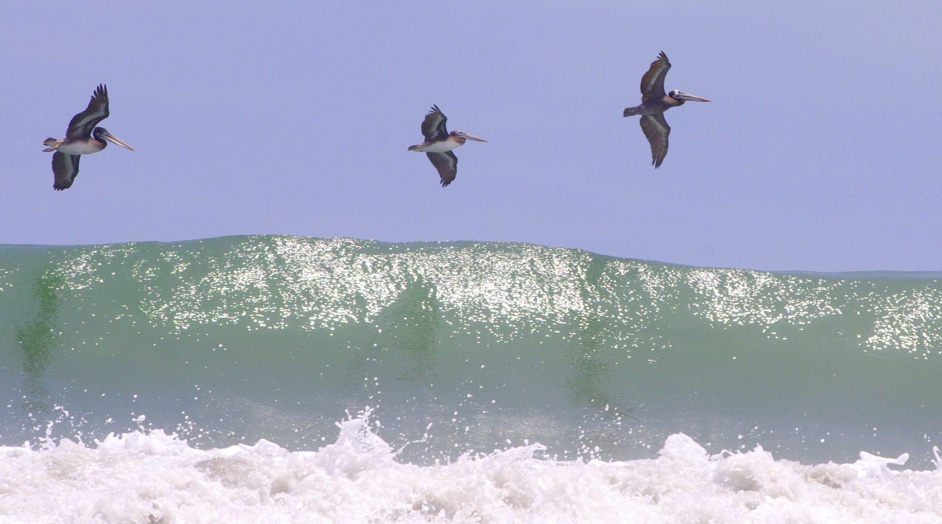 surcando las olas